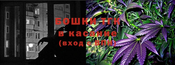 винт Вяземский